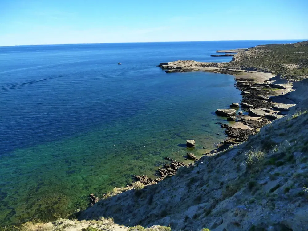 puerto-piramides-whale