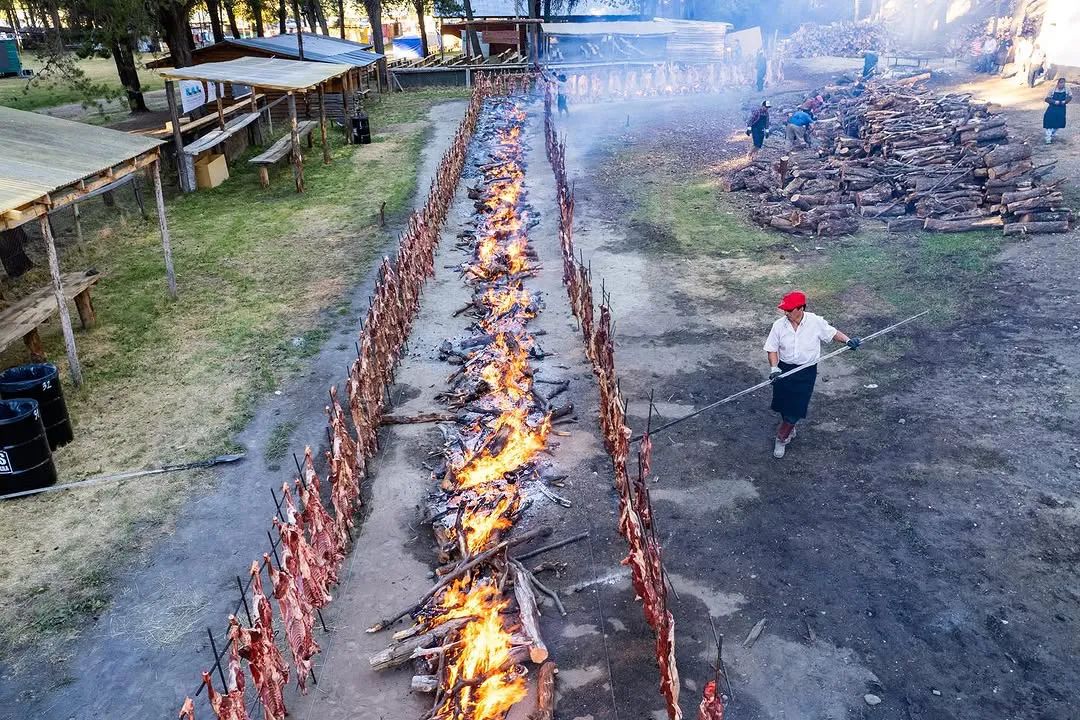 SaveClip.App_470143762_18068498053771936_526136405068254949_n