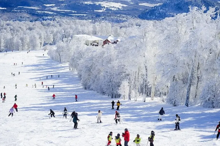 158cbc1e-22e5-439f-9c63-0f41132ecaac