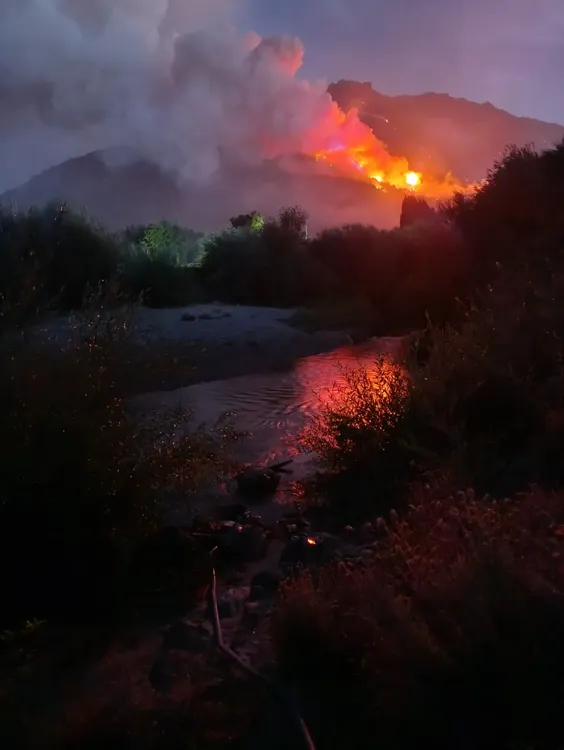 WhatsApp Image 2026-01-14 at 10.31.16 AM (1)