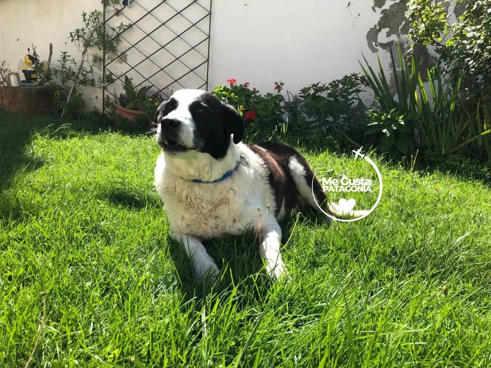 Diseño sin título (17)