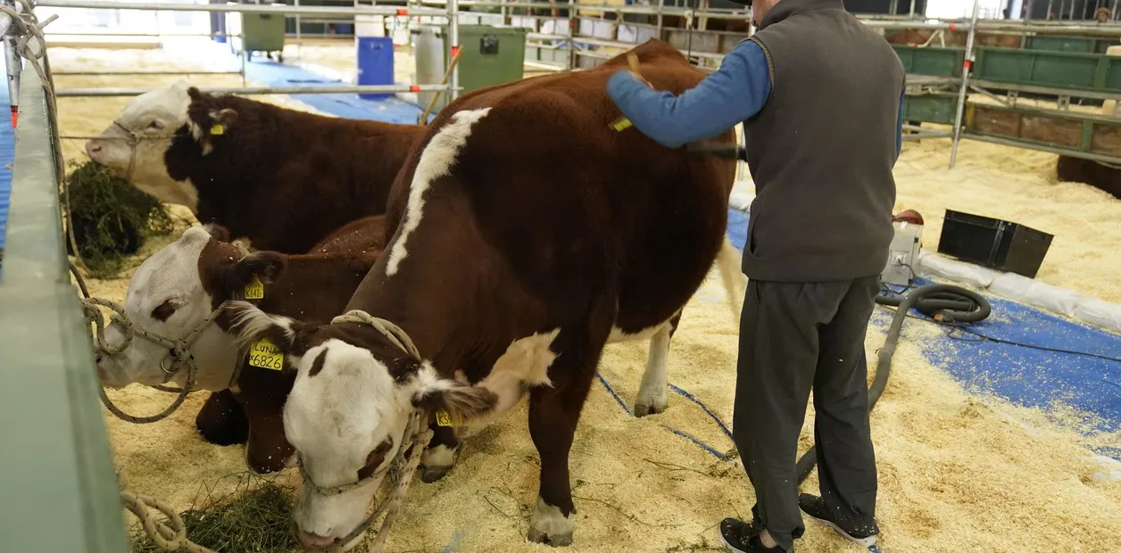 O2tE0Anes_1256x620__1