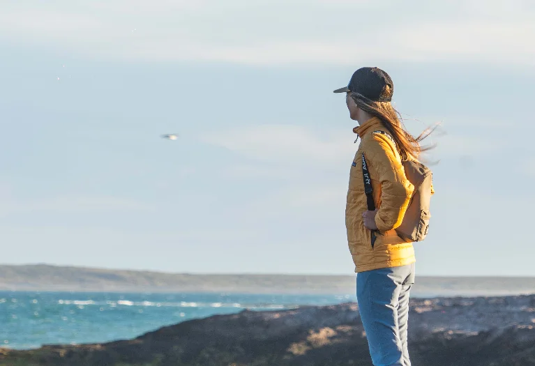 1e58860f-d302-4467-a549-1f0b7bcbab74