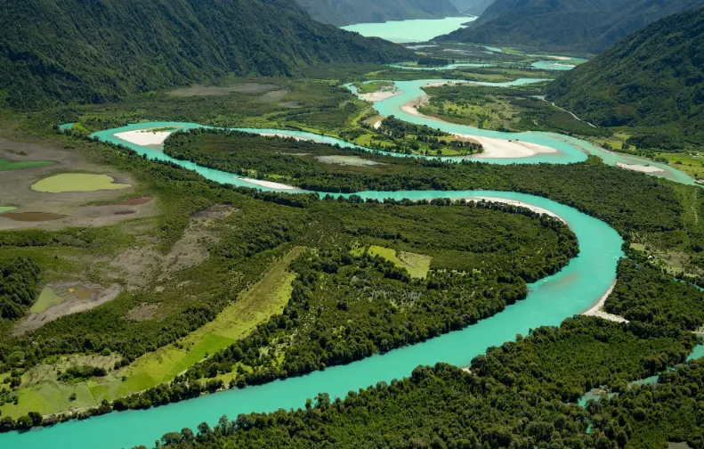 5565b56d-f5d4-441b-94f7-646575046182