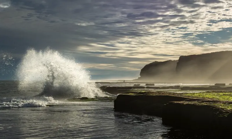 c93beef1-dd01-42b1-800a-7b6fbbd93bce