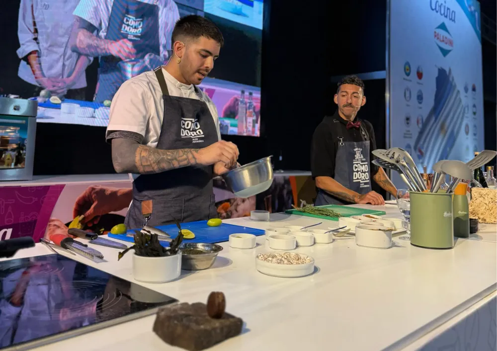 1a542458-703f-479f-93d5-26417cdaa265