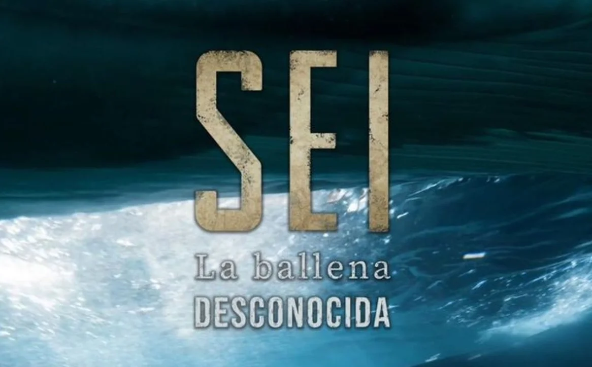 WhatsApp Image 2026-03-16 at 3.45.15 PM