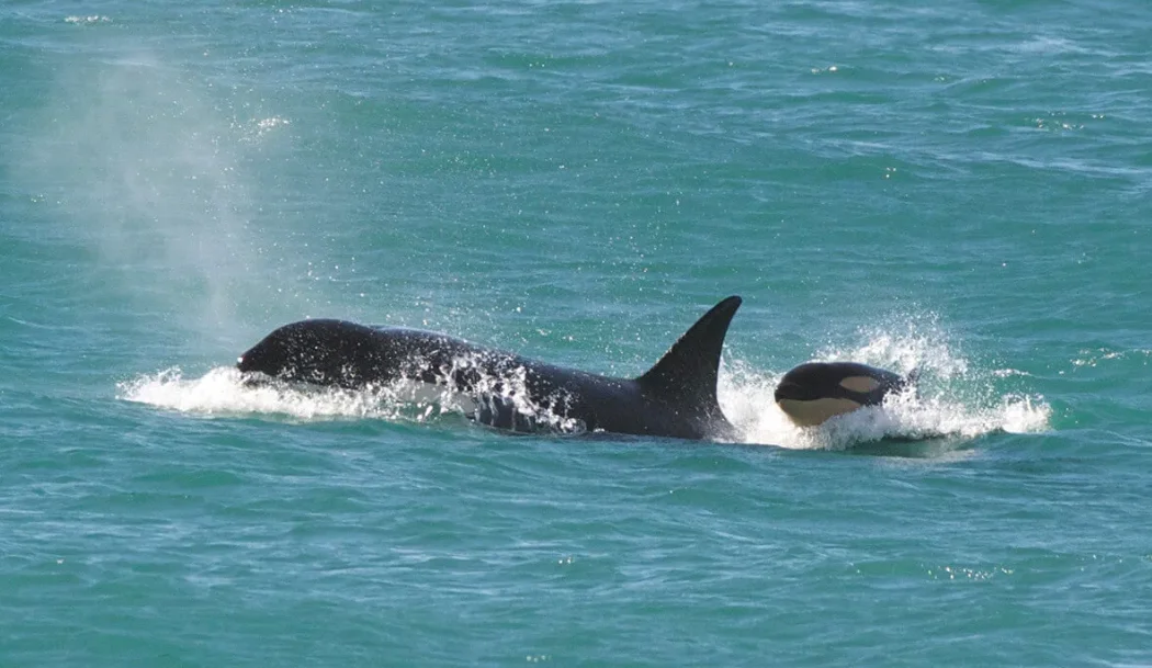 31f6fe68-3f8d-4d55-b827-db7889b94512