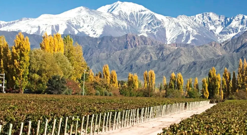 7490d59b-1d00-46b1-abd9-a54755214087