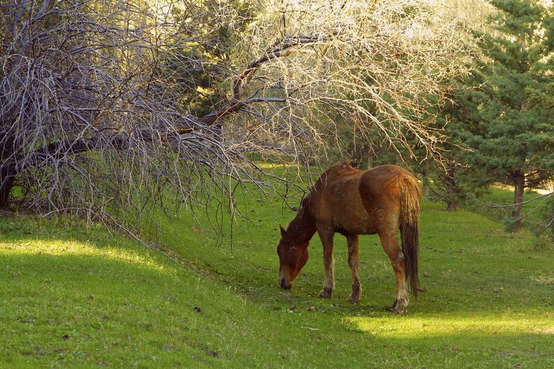 21819914_119875948662965_898639761143496704_n