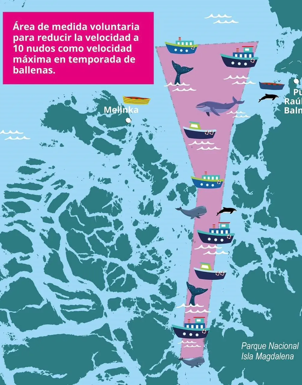 WhatsApp Image 2025-06-12 at 12.36.34 PM