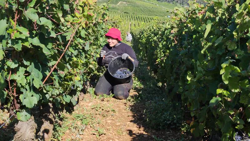 474151094_1194778672364587_3691757182813522137_n