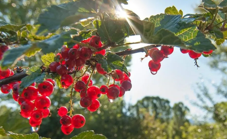 d2cf1670-6e8b-4fdc-a8e1-ce868a379f49