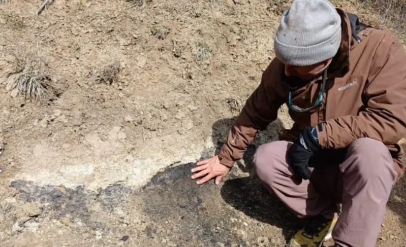 dfb93925-d4db-4aea-bc69-5fc5699852ba