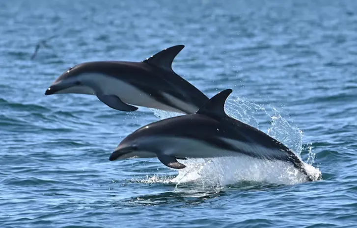 d3441f9a-5020-4b66-a732-0b386f32b7cb