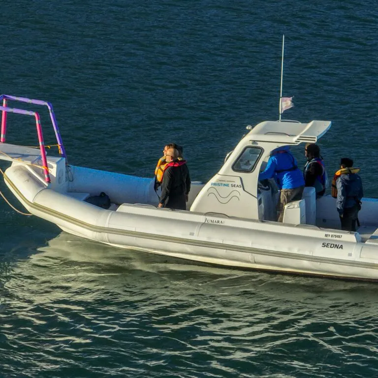 WhatsApp-Image-2024-04-03-at-11.46.54-1-768x768