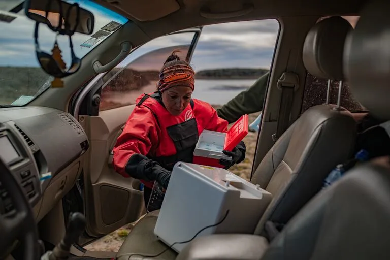 1aab0f6c6d178deffe9df8416d2963c2