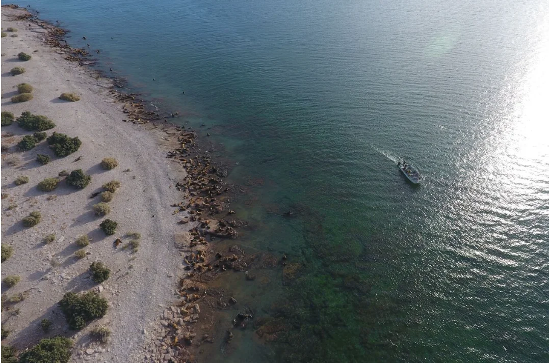 3da148e8-a03f-4edc-be24-cbe48efd2e15