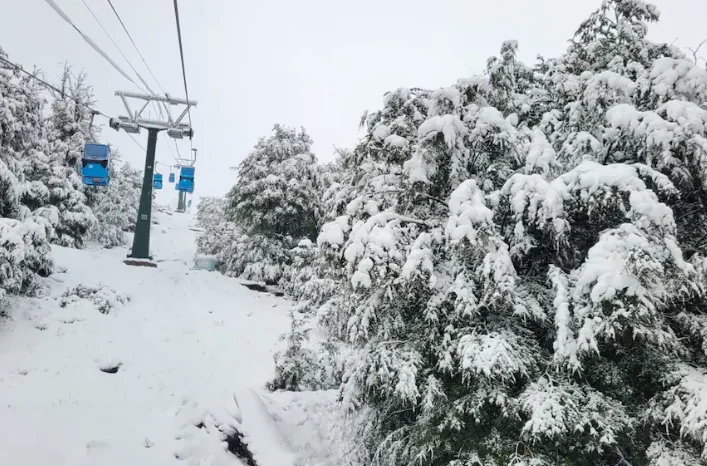 7ad200cb-ffc8-44da-b082-b6598c01fcb5