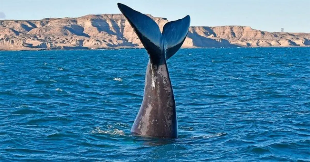 GVSTEN3EHE3DANZXMNTGIYTGMI