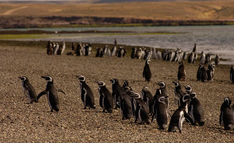 cabo-dos-bahias-chubut-4-2