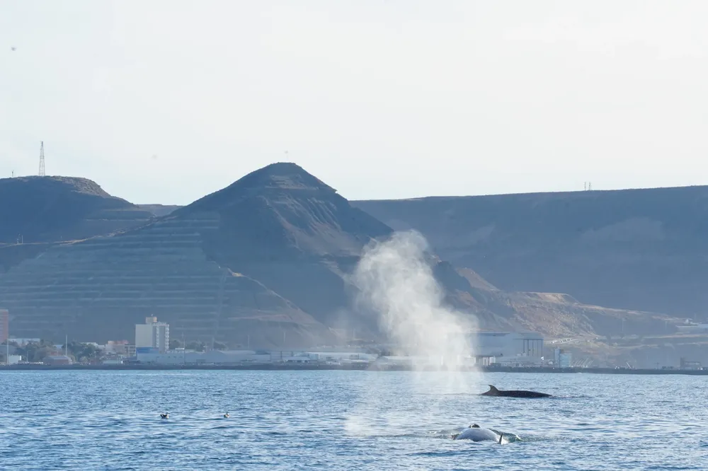 WhatsApp Image 2025-06-30 at 8.56.03 PM (1)