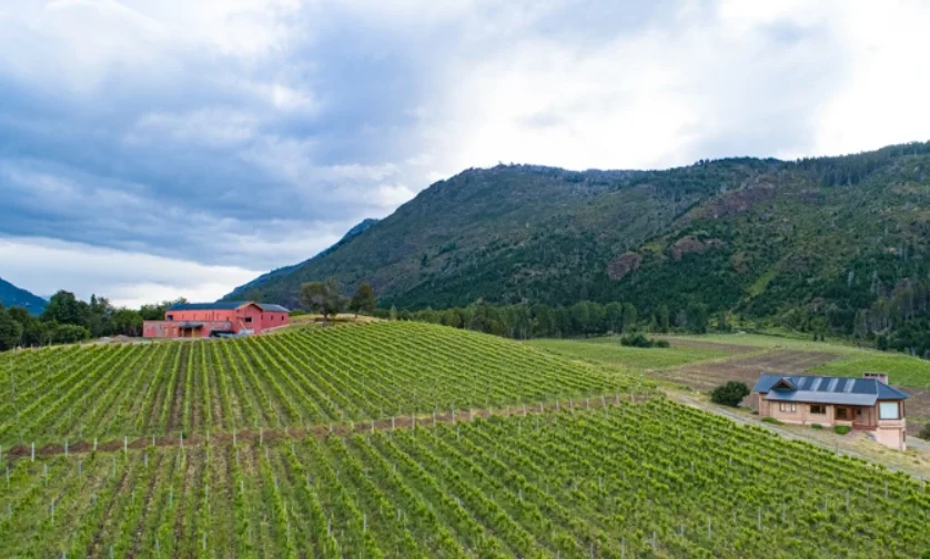 f4654718-1235-442b-8a43-d3b81aaf89ae