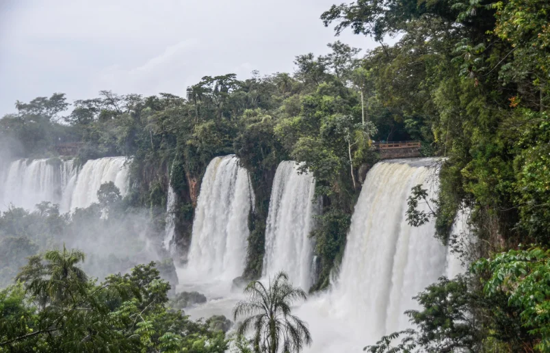 794503de-6a5a-45d2-9d12-300d98b2d700