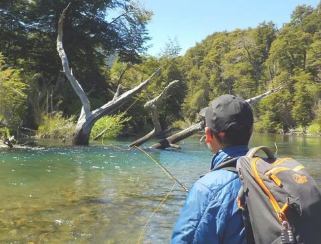 b818c7dc-0aa4-4c6a-8668-b3be67afd124