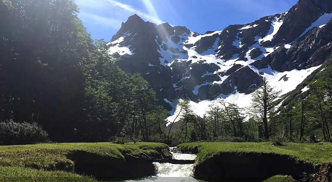 dcf4aed7-1e36-4bda-ad67-3d8fb123e513