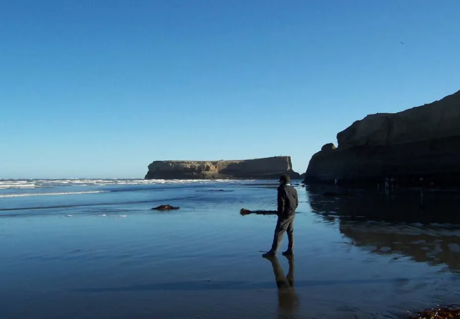 94289ed5-dbd1-4757-9b0a-0e0e197ca359