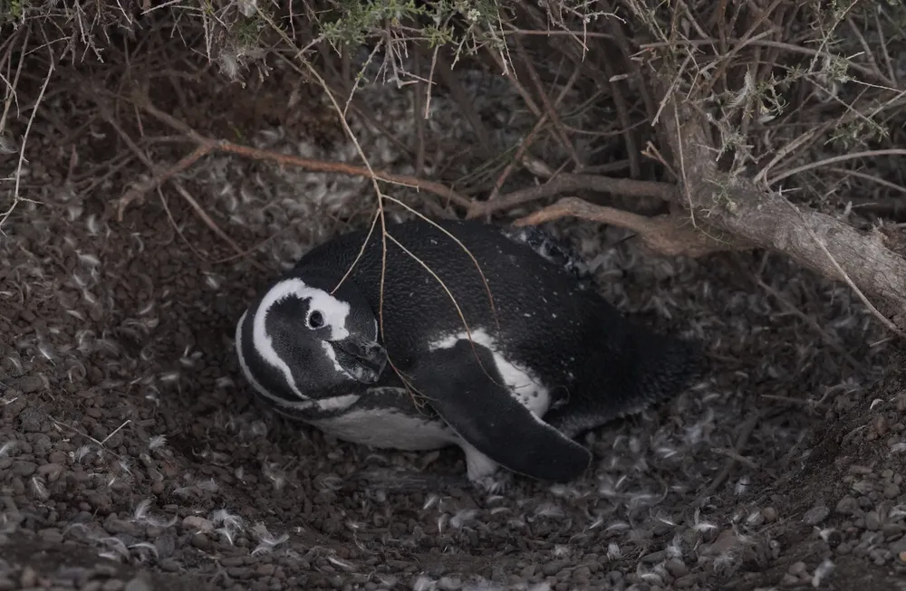 afe06ab4-6be2-1d83-01d1-4705af48a605