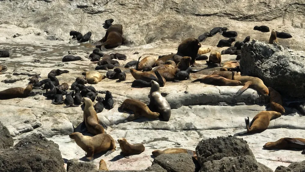 d5170987-087e-4bc4-b8fd-a0db56f0c42d