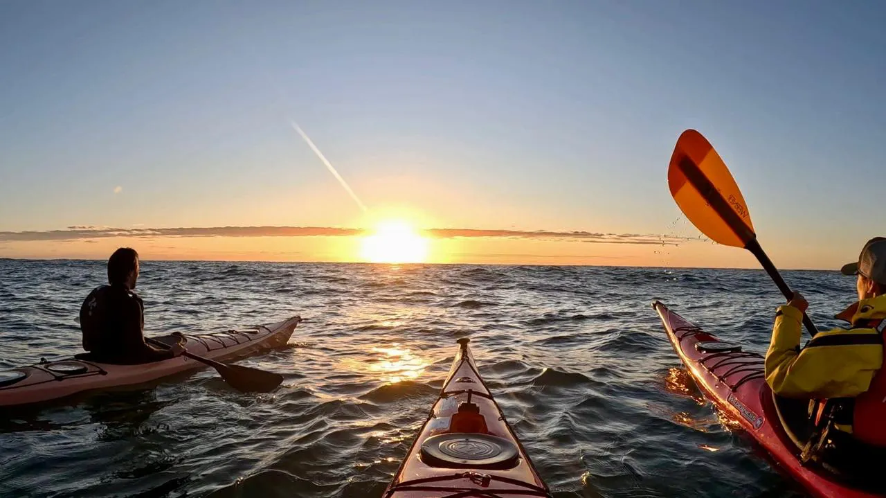 WhatsApp Image 2026-02-20 at 12.45.42 PM