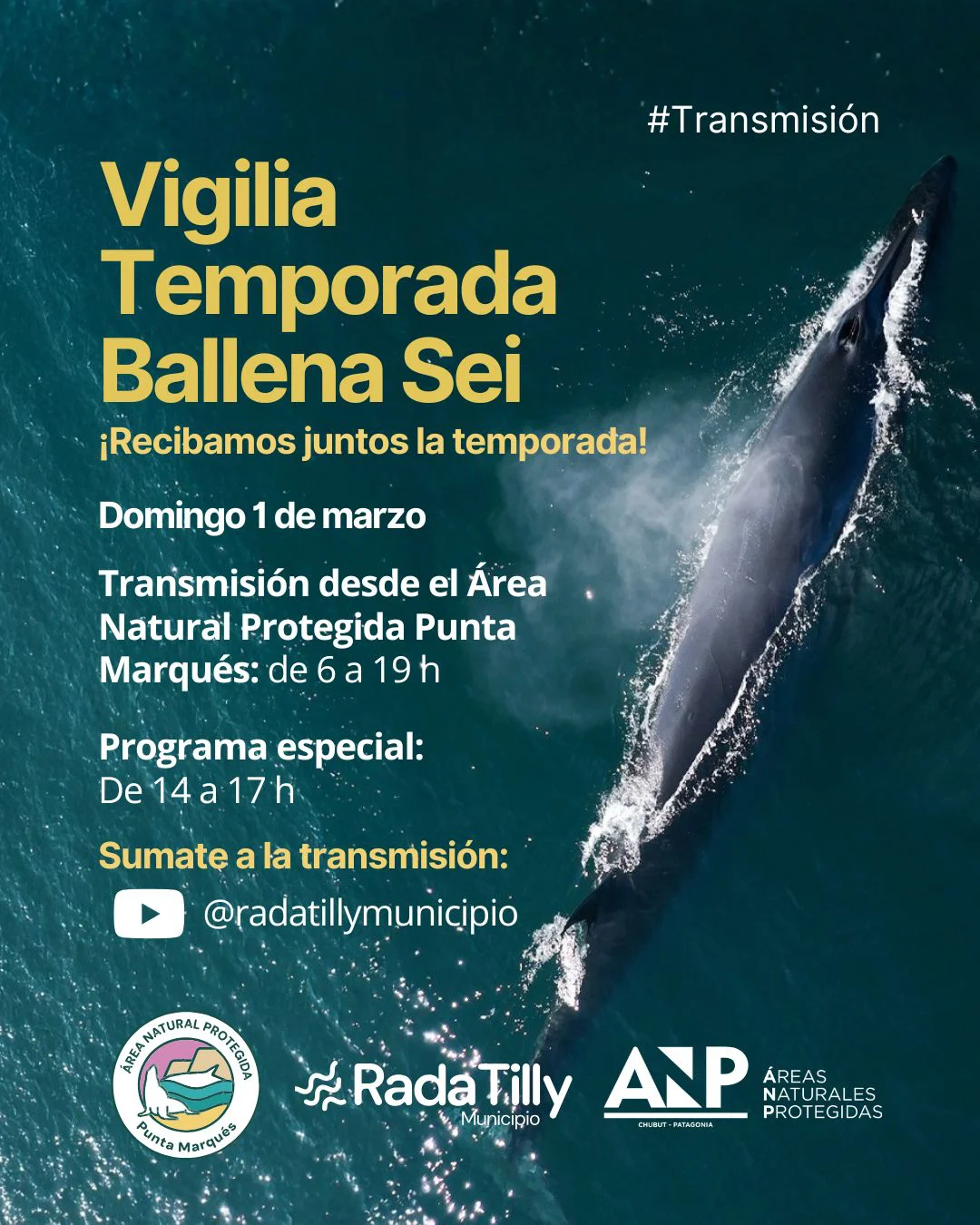 WhatsApp Image 2026-02-27 at 12.45.32 PM