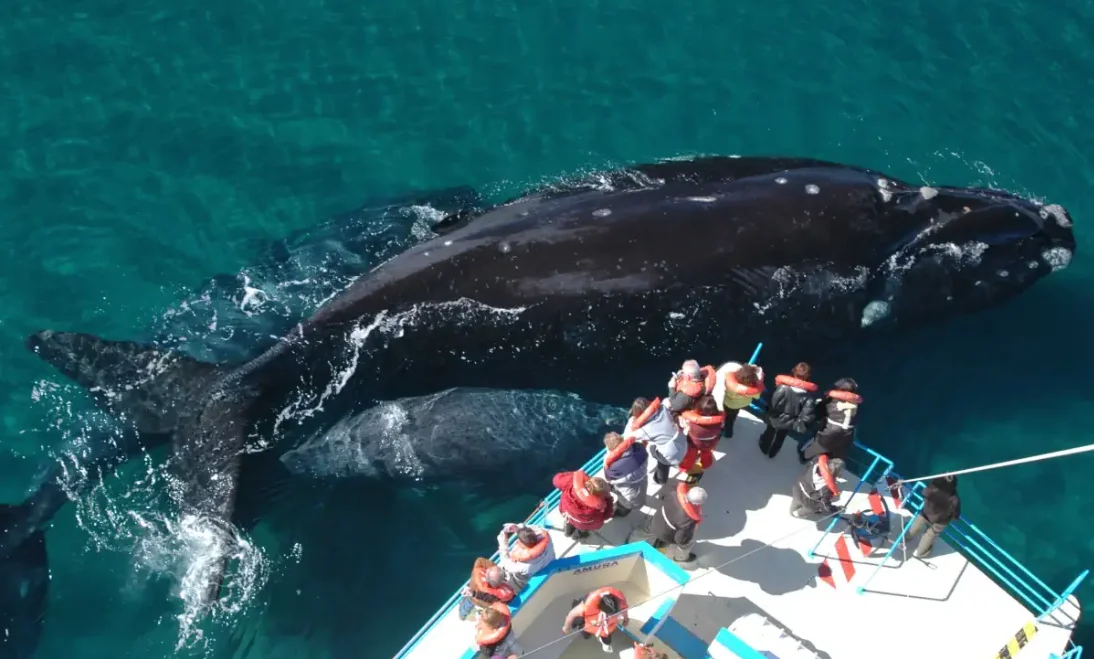 393f5c02-b94d-423f-86de-67759b0270a8