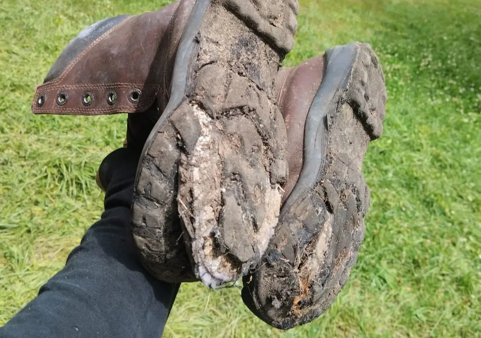 WhatsApp Image 2026-01-14 at 3.47.25 PMh