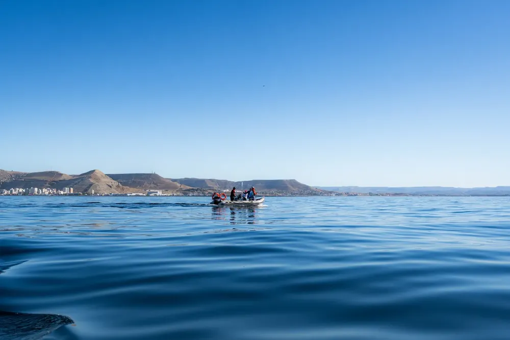 WhatsApp Image 2025-10-29 at 8.00.47 PM