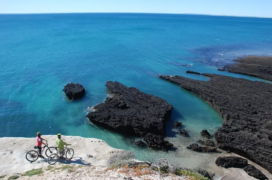 7c15756d-9545-4e36-b411-b136eef740fc