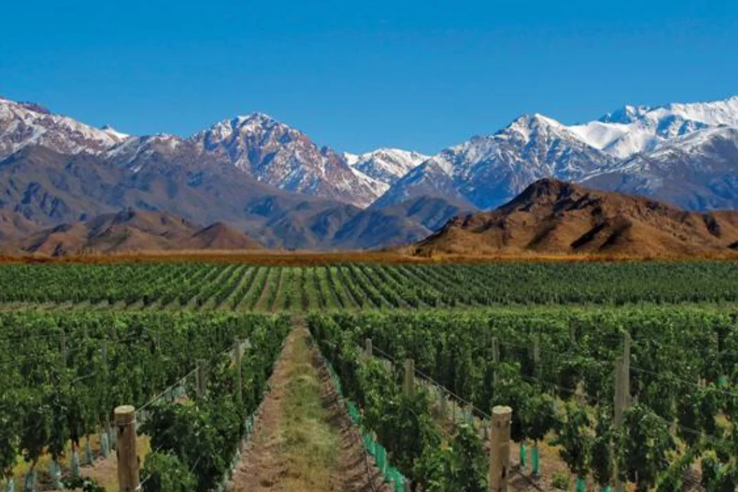 737daea4-5158-435c-be42-bc042138552d