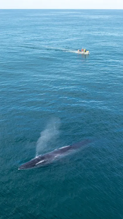 WhatsApp Image 2025-06-30 at 6.52.55 PM