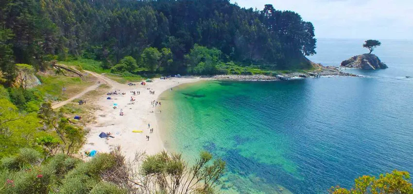 pag-7-ramuncho-peninsula-de-hualpén-santuario-de-la-naturaleza-850x400